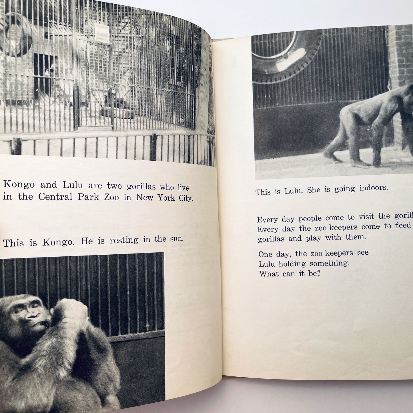 Gorilla Baby: The Story of Patty Cake
