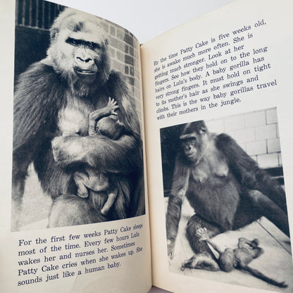 Gorilla Baby: The Story of Patty Cake