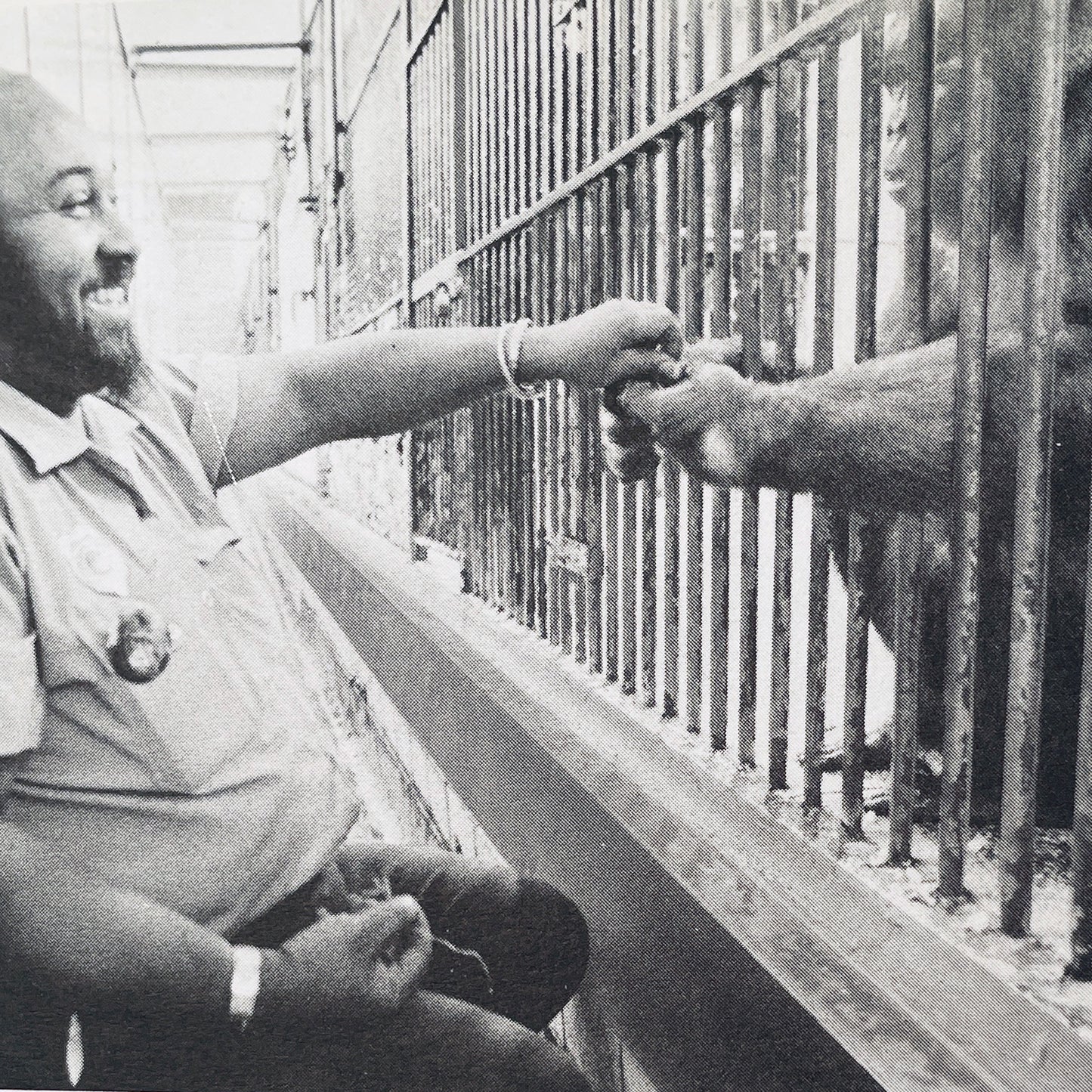 Gorilla Baby: The Story of Patty Cake