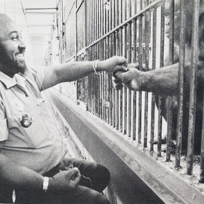 Gorilla Baby: The Story of Patty Cake