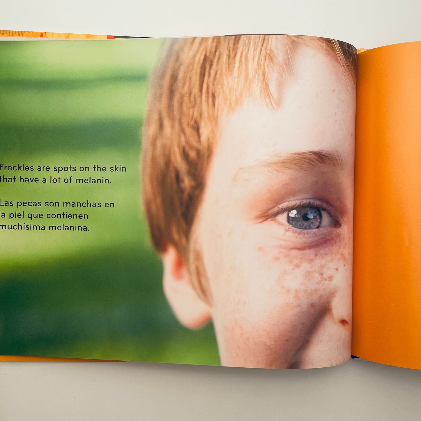 All the Colors We Are / Todos los colores de nuestra piel (bilingual)