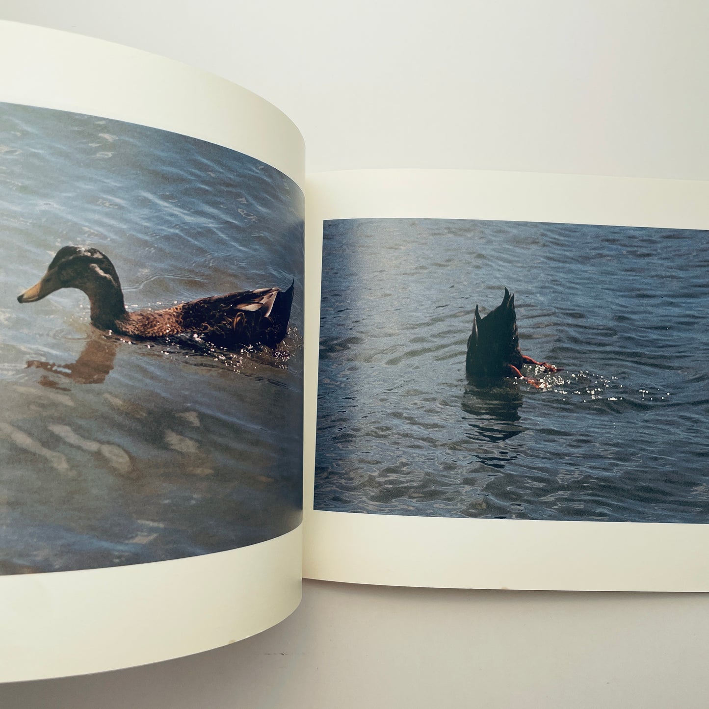 Exactly the Opposite