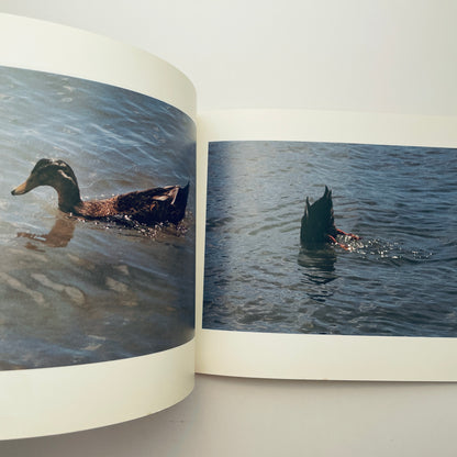 Exactly the Opposite