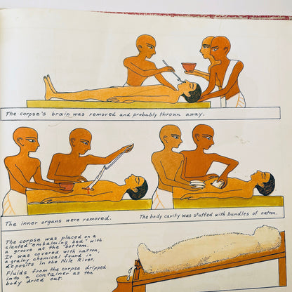 Mummies Made in Egypt