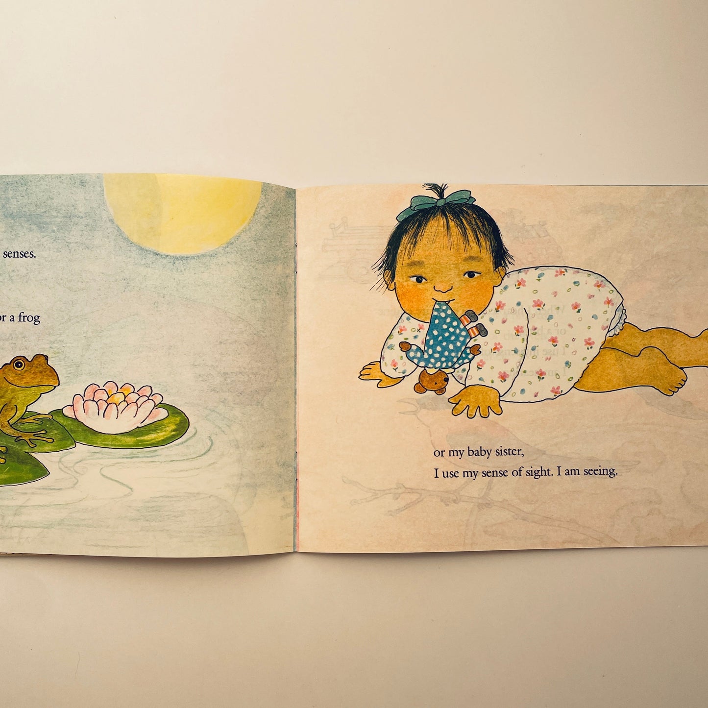 My Five Senses, revised edition (Let's-Read-and-Find-Out Science Book)