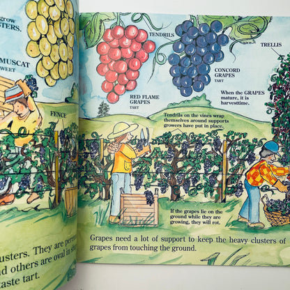 The Fruit We Eat