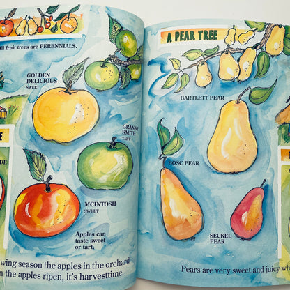 The Fruit We Eat