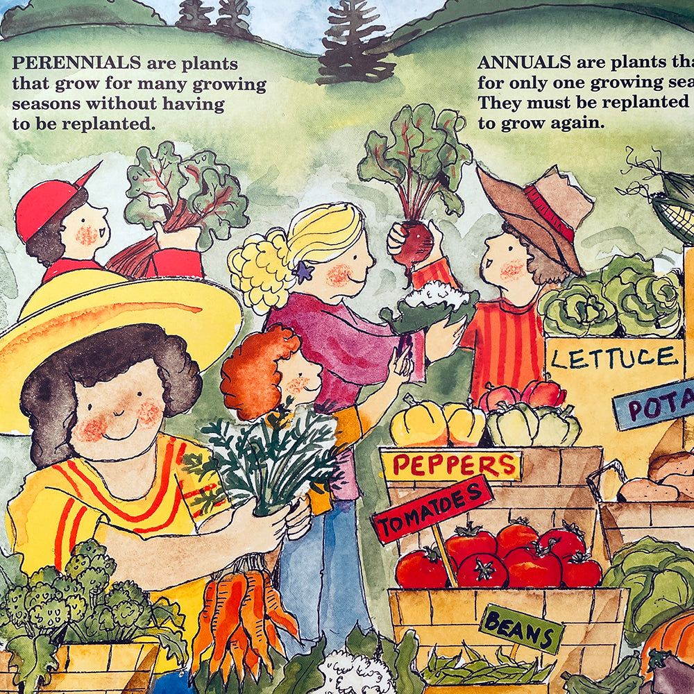 The Vegetables We Eat