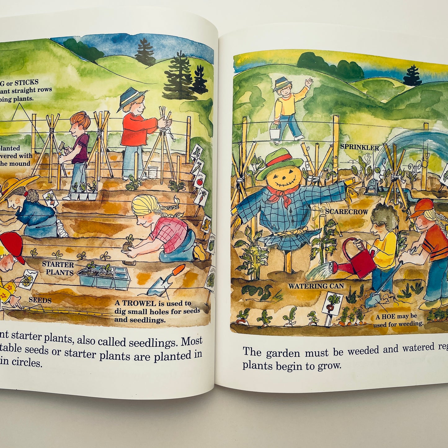 The Vegetables We Eat