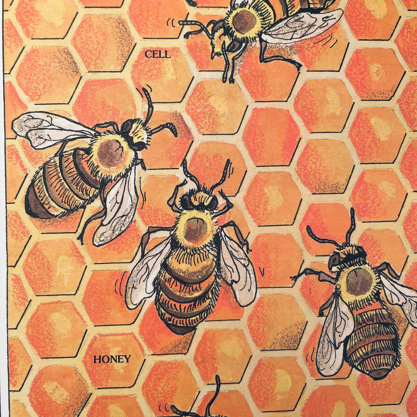 The Honey Makers