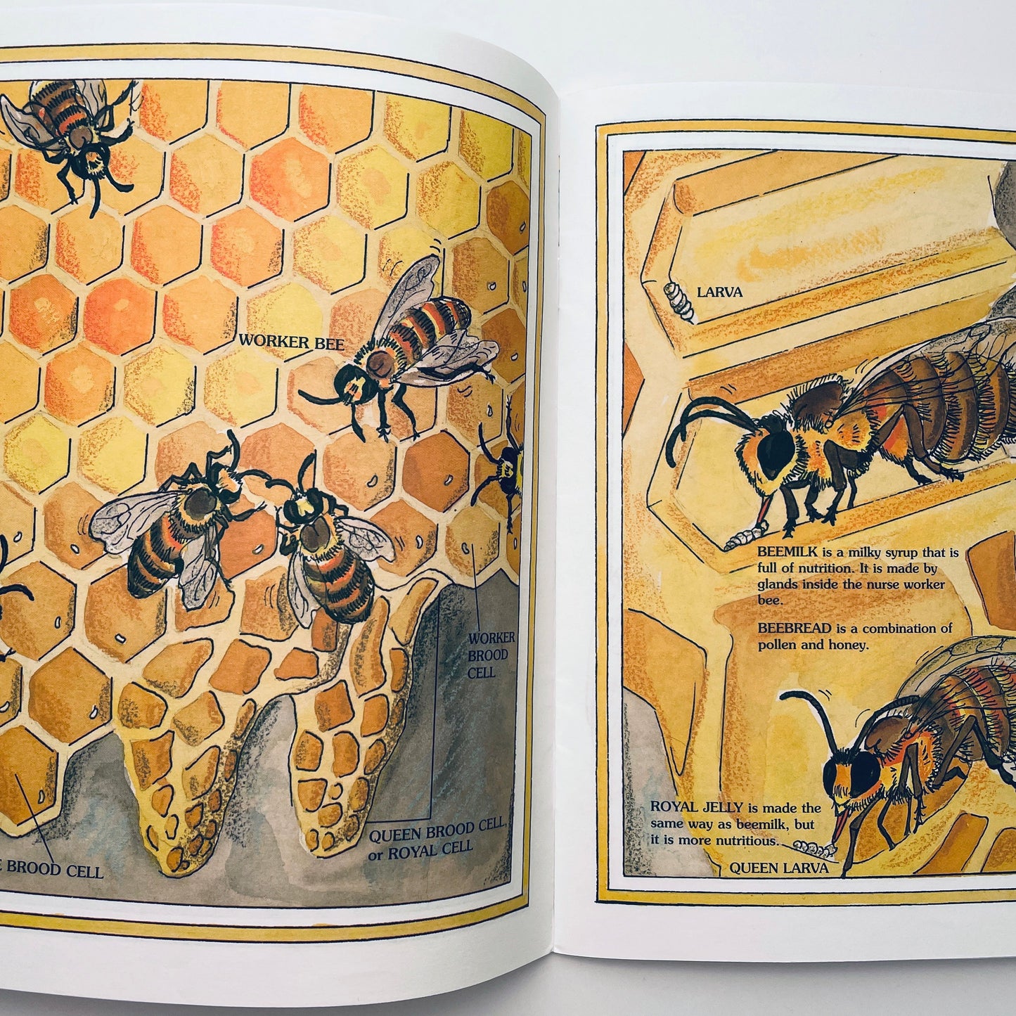 The Honey Makers