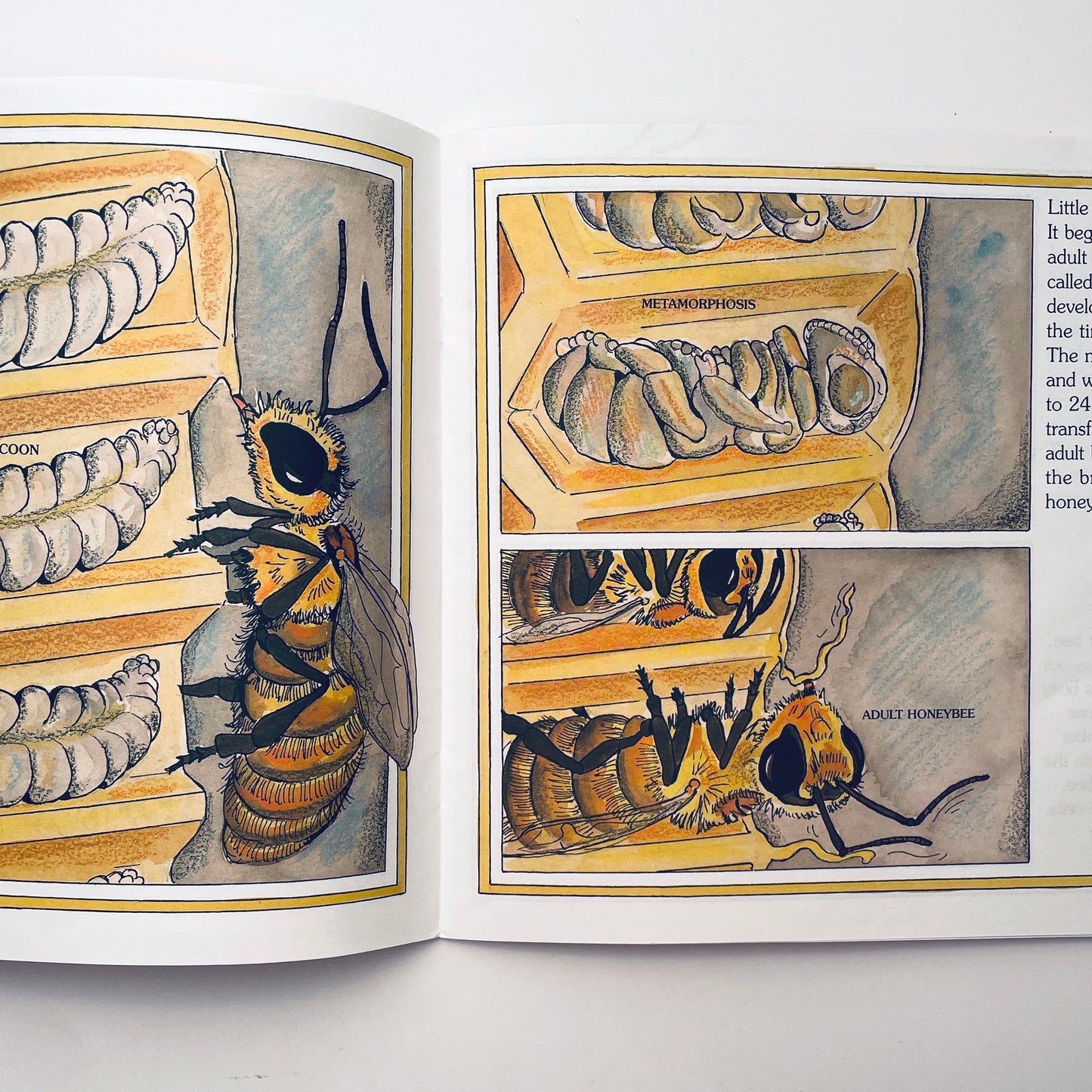 The Honey Makers