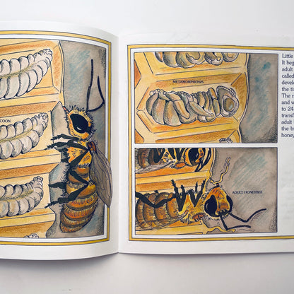 The Honey Makers