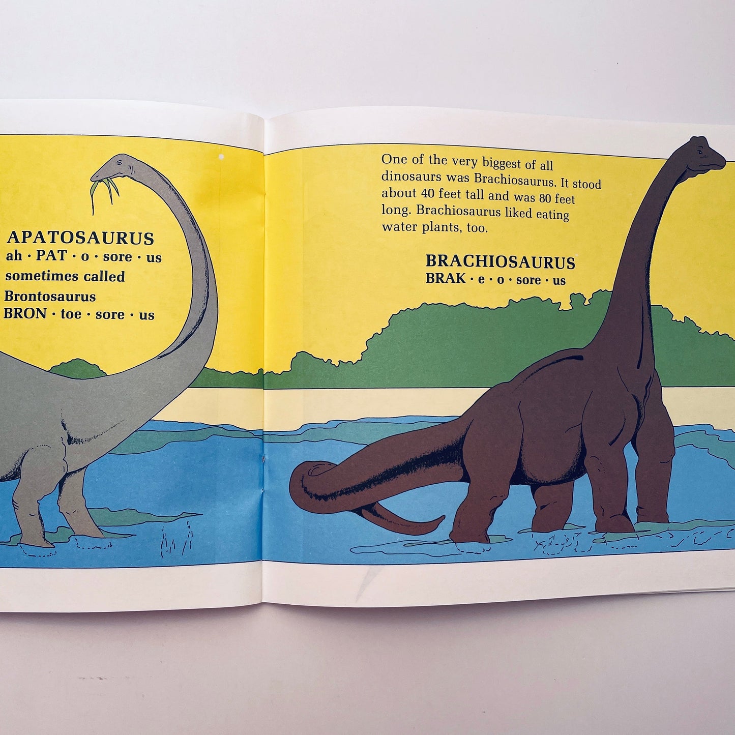 Dinosaurs