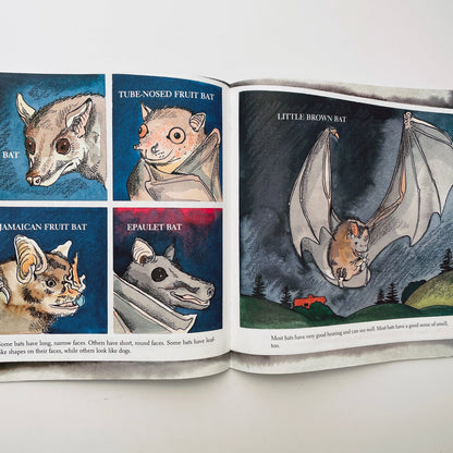 Bats