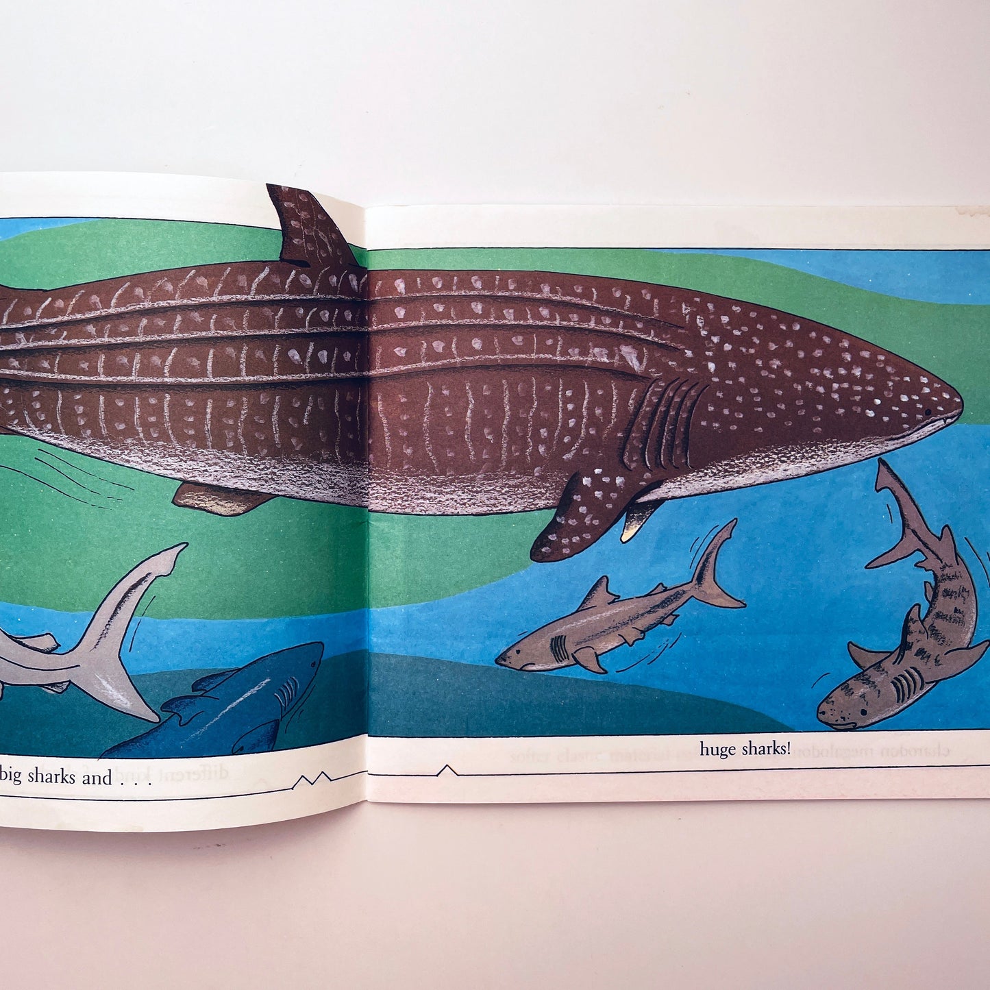 Sharks