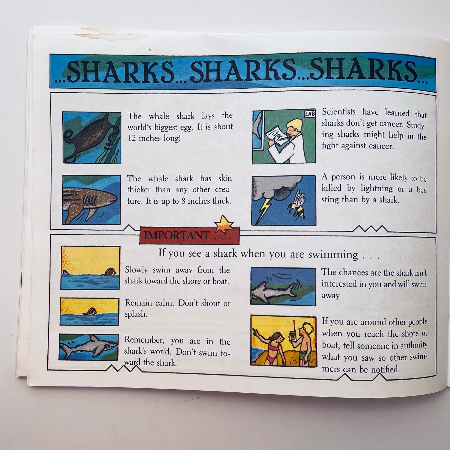 Sharks