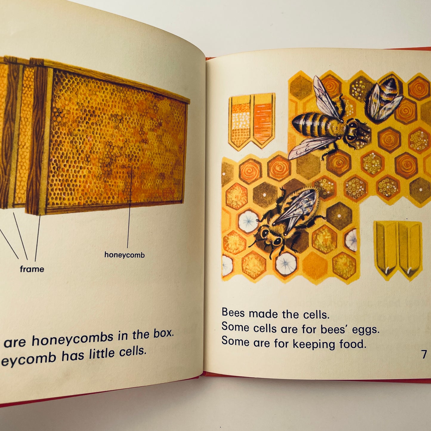 Bees (Wonder Starters)