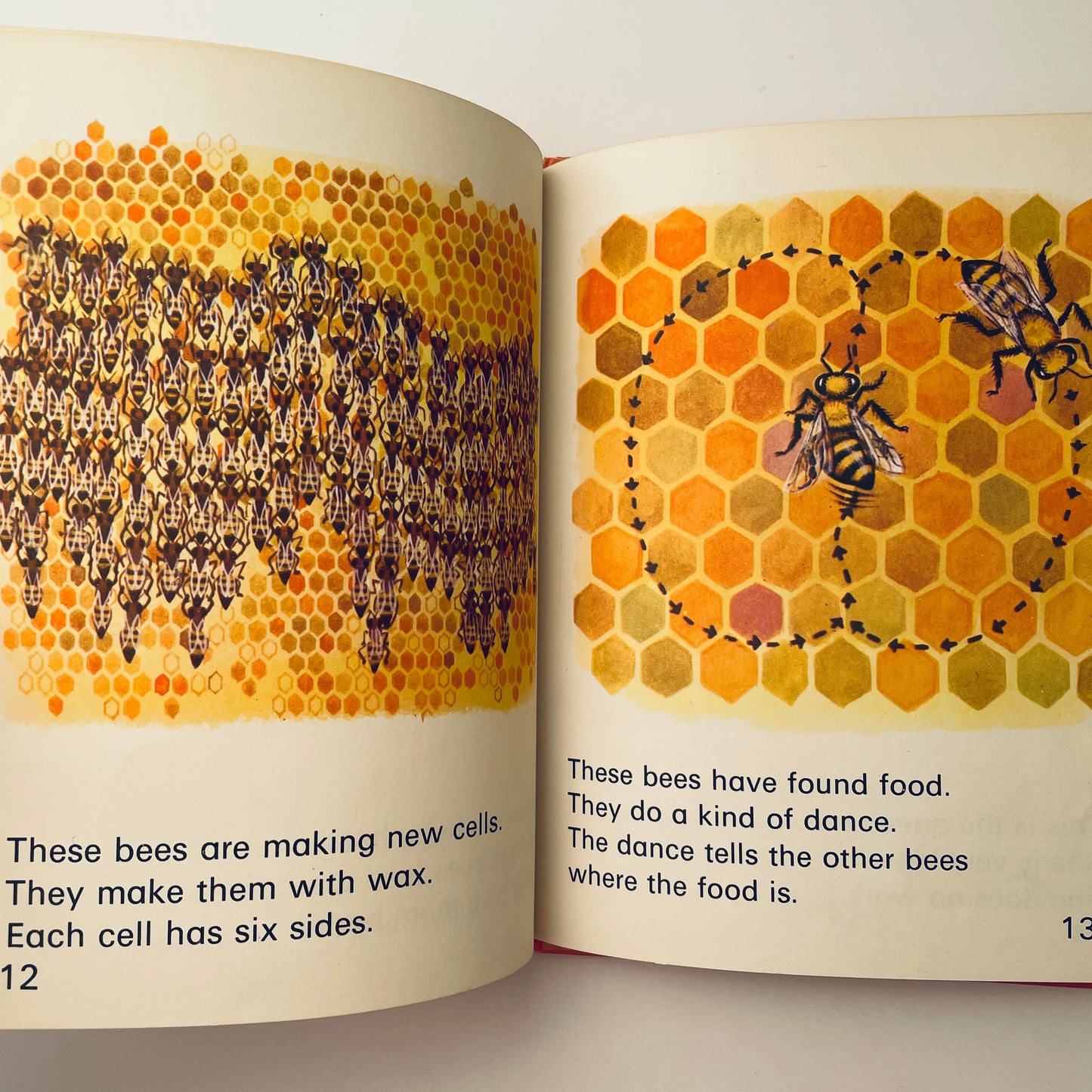 Bees (Wonder Starters)