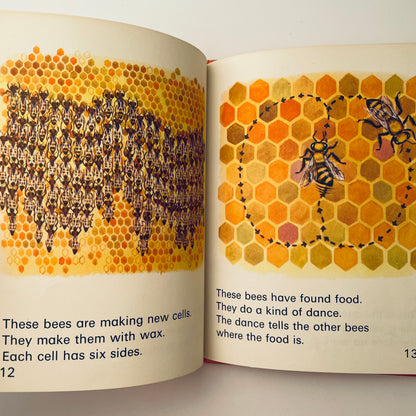 Bees (Wonder Starters)