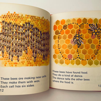 Bees (Wonder Starters)