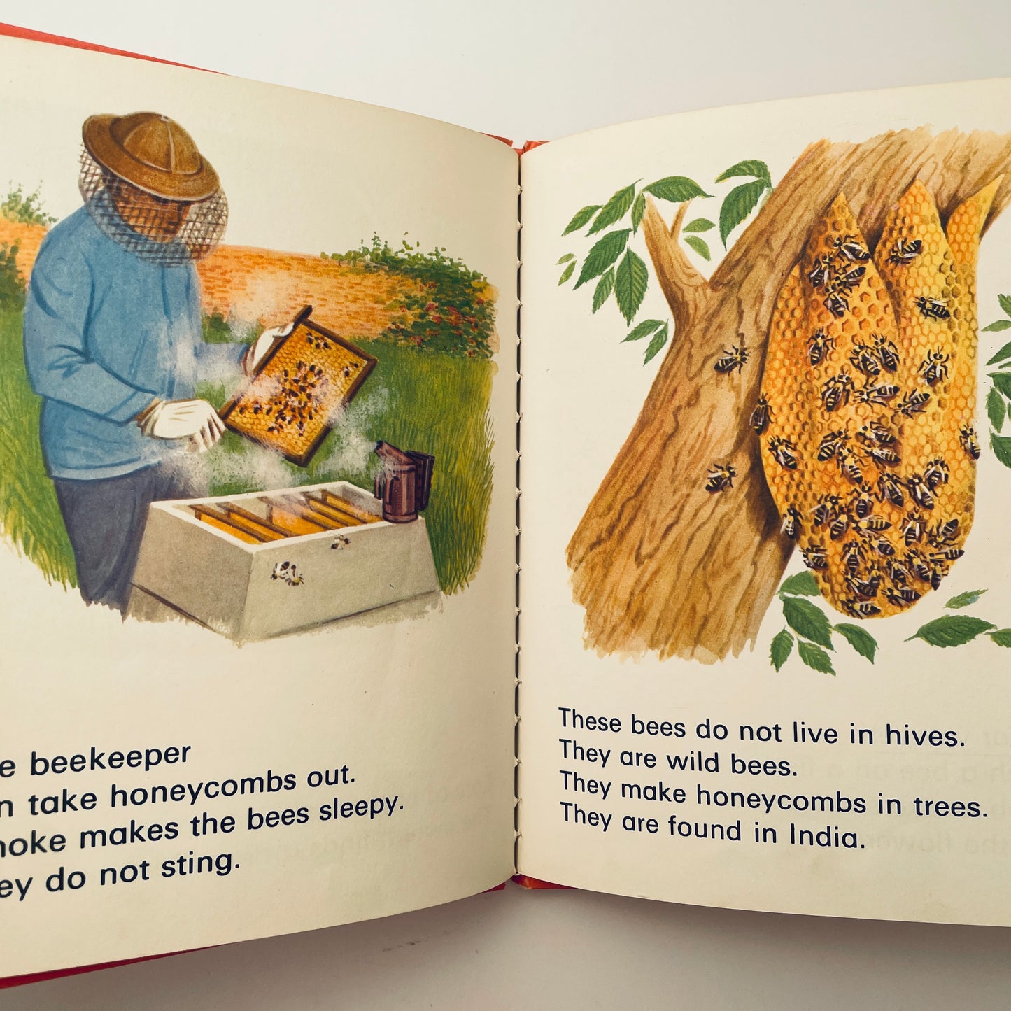 Bees (Wonder Starters)