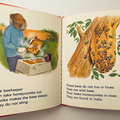 Bees (Wonder Starters)