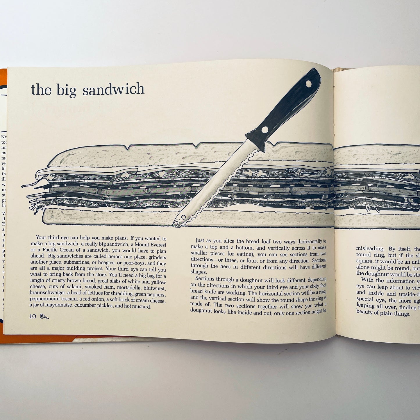 Inside: Seeing Beneath the Surface