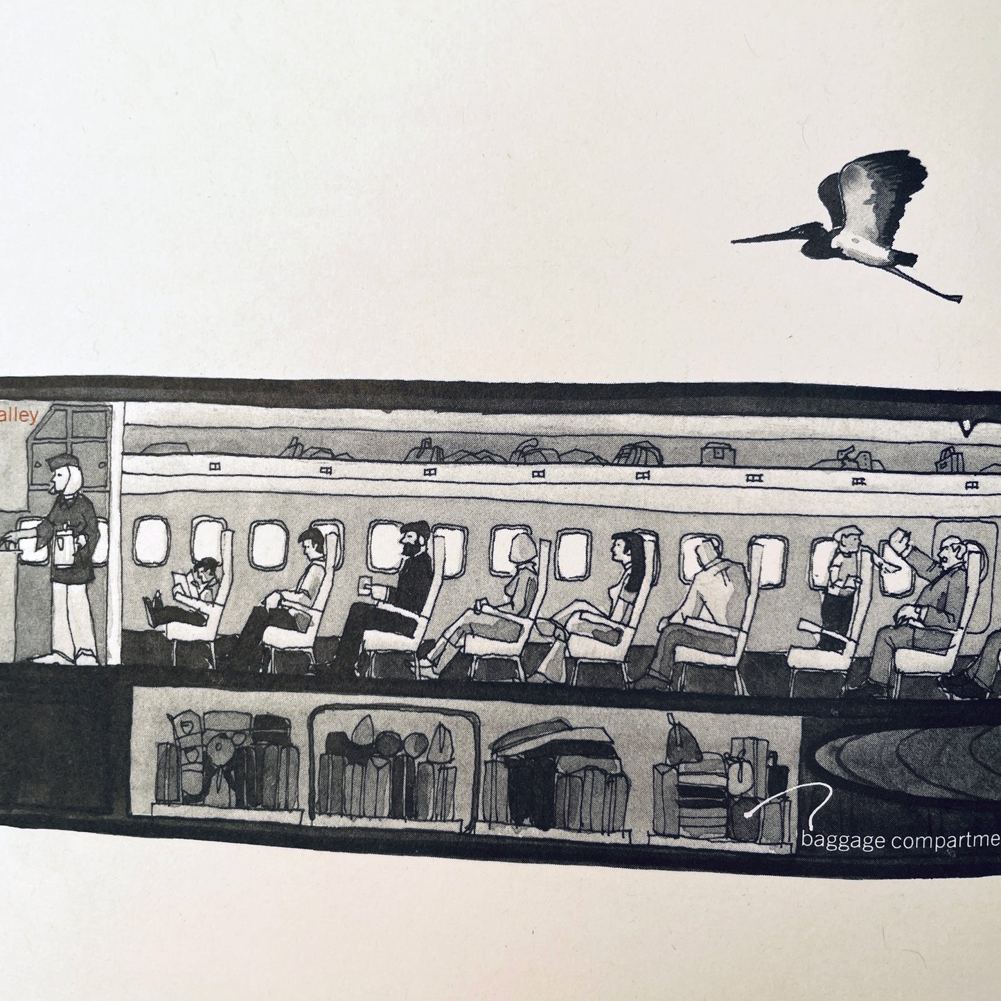 Inside: Seeing Beneath the Surface