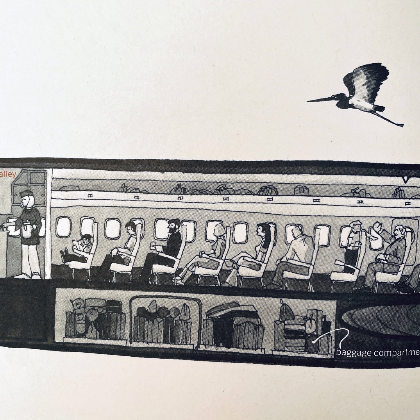 Inside: Seeing Beneath the Surface