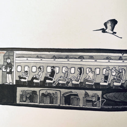 Inside: Seeing Beneath the Surface