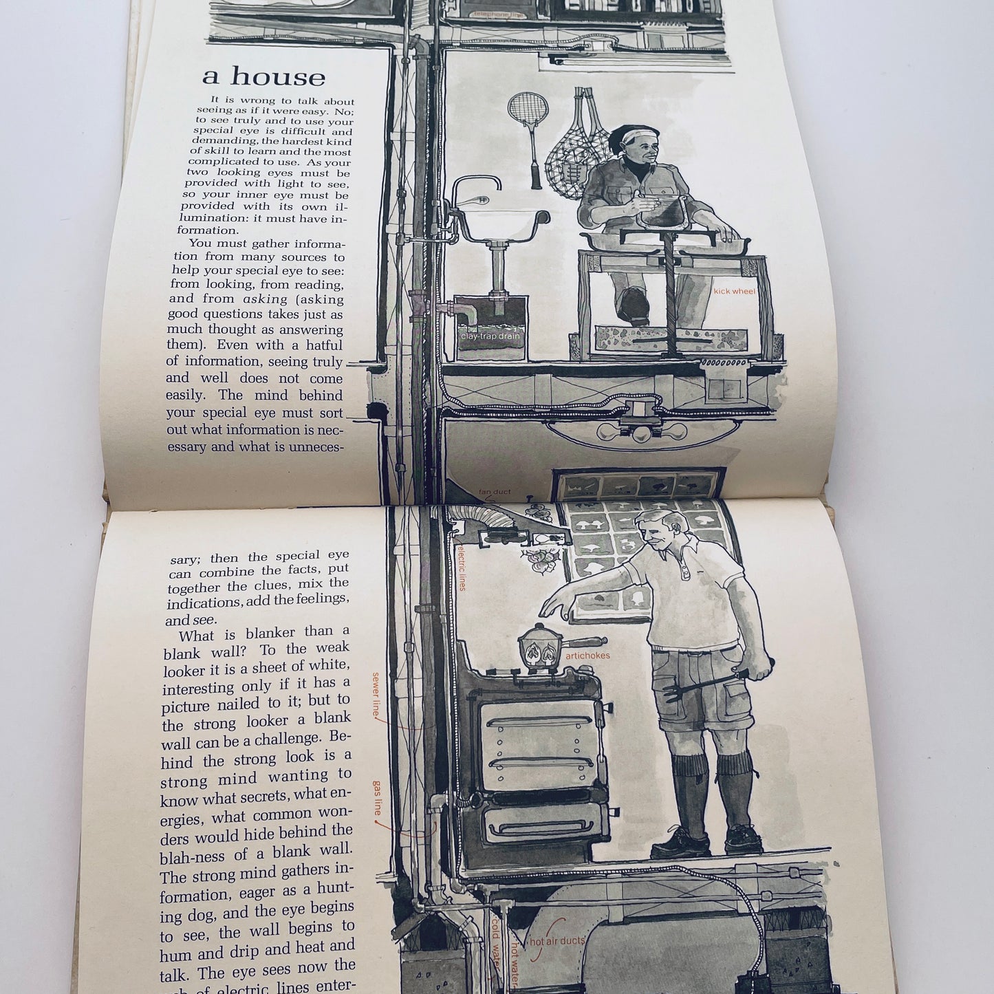 Inside: Seeing Beneath the Surface