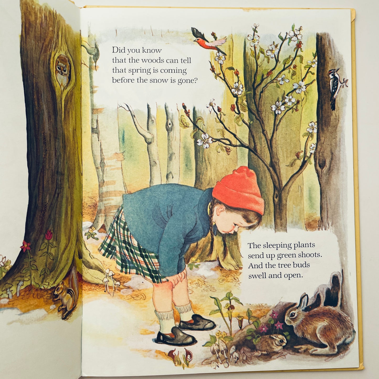 My Big Book of the Outdoors