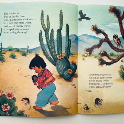 My Big Book of the Outdoors