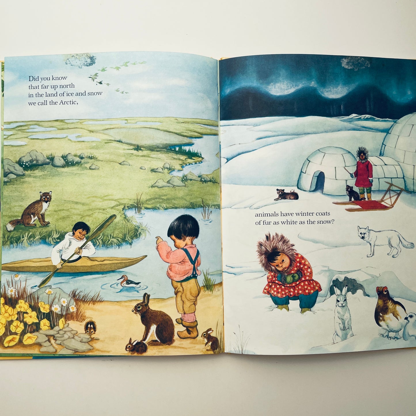 My Big Book of the Outdoors