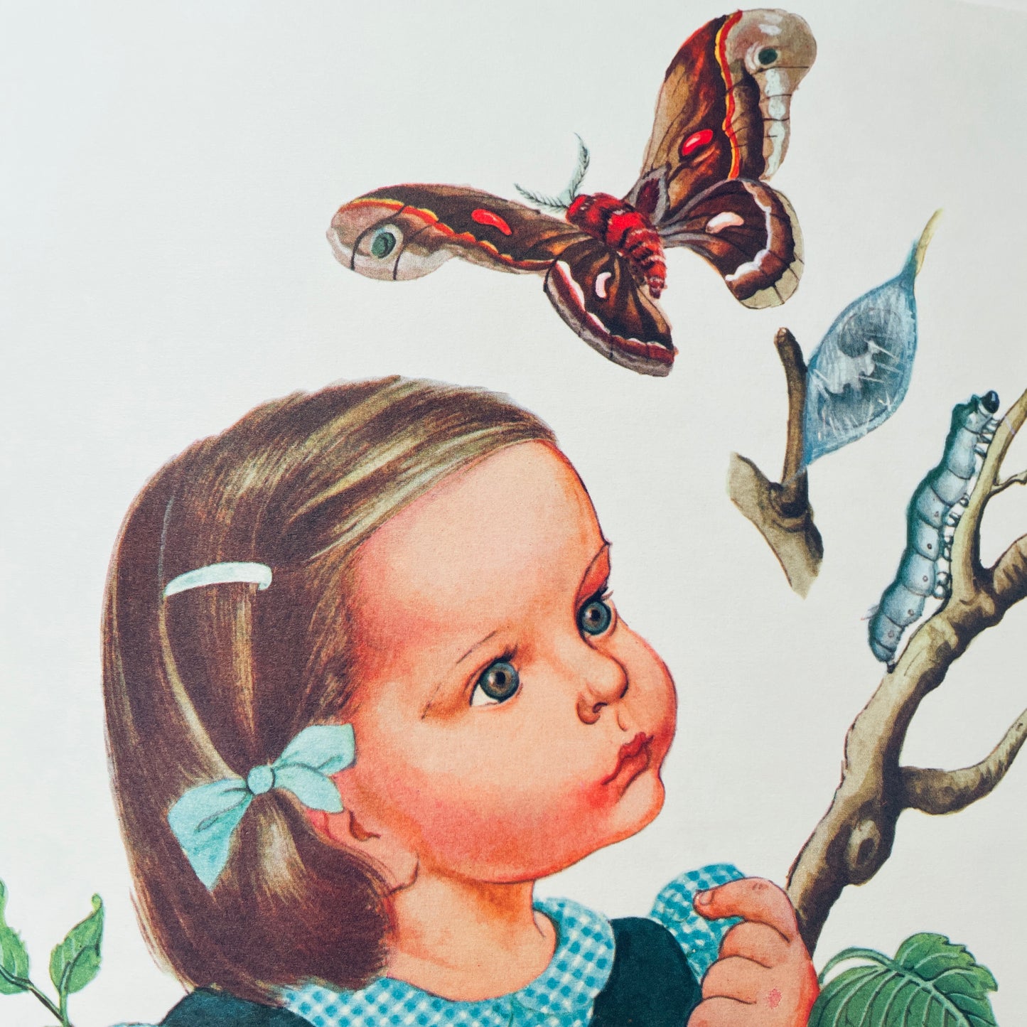 My Big Book of the Outdoors