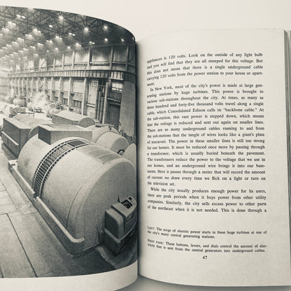 Under the City: The Wondrous World Beneath the Streets