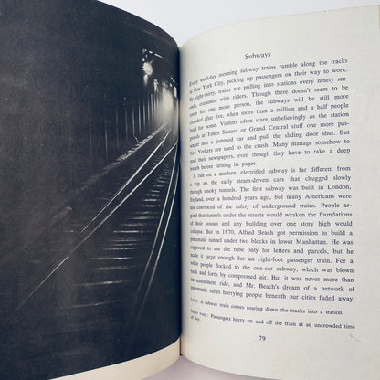 Under the City: The Wondrous World Beneath the Streets
