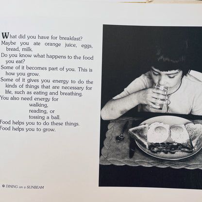 Dining on a Sunbeam: Food Chains & Food Webs