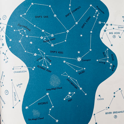 The Stars: A New Way to See Them