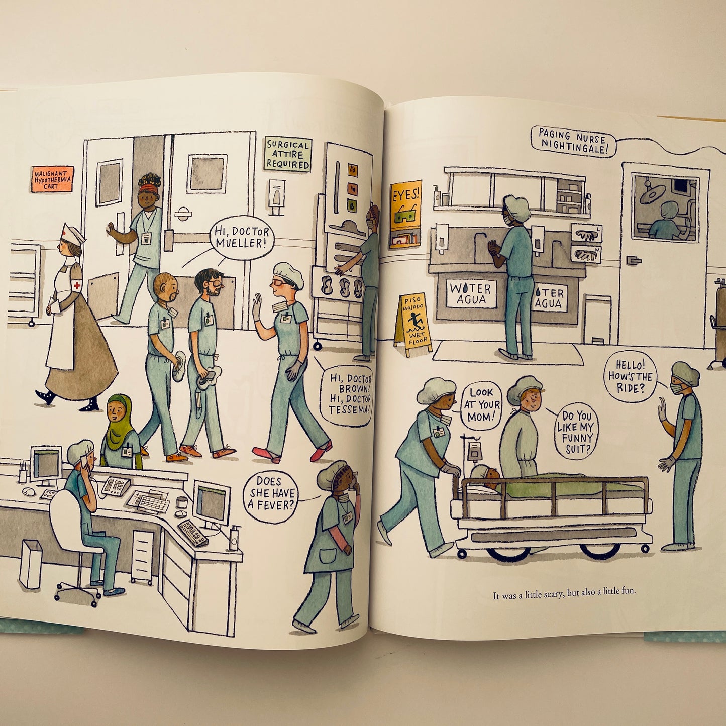 The Hospital Book