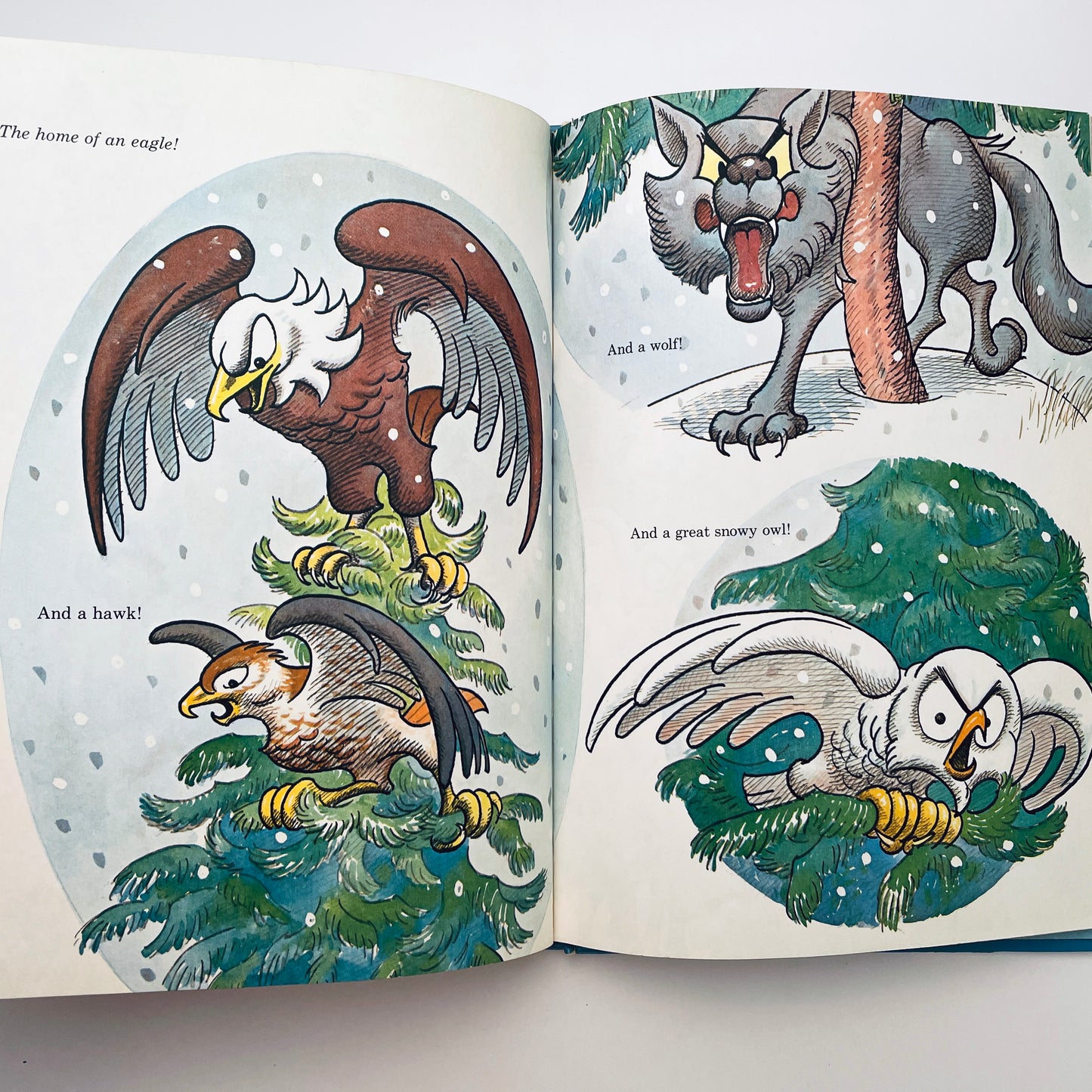 The Berenstain Bears' Christmas Tree