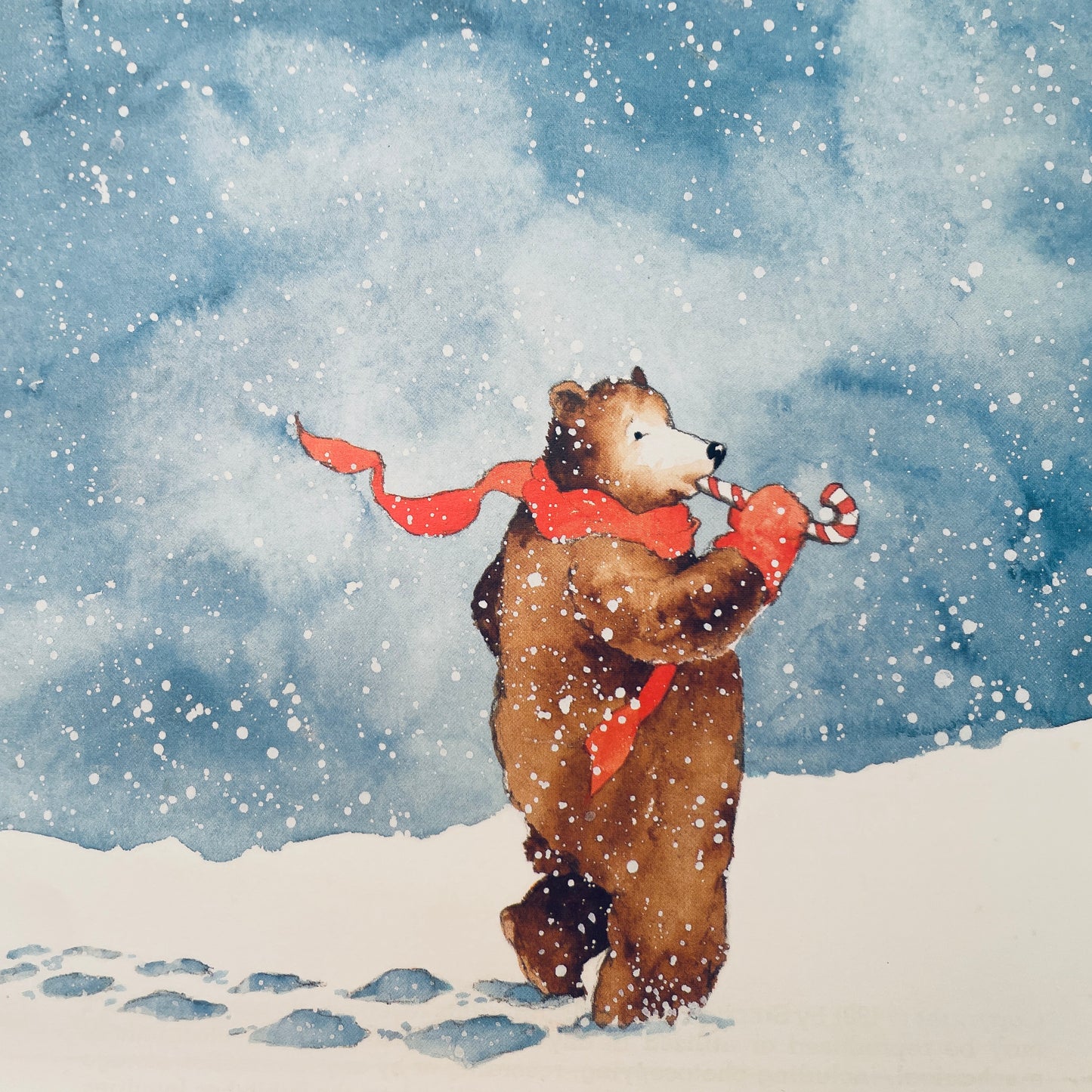 Wake-up, Bear... It's Christmas!