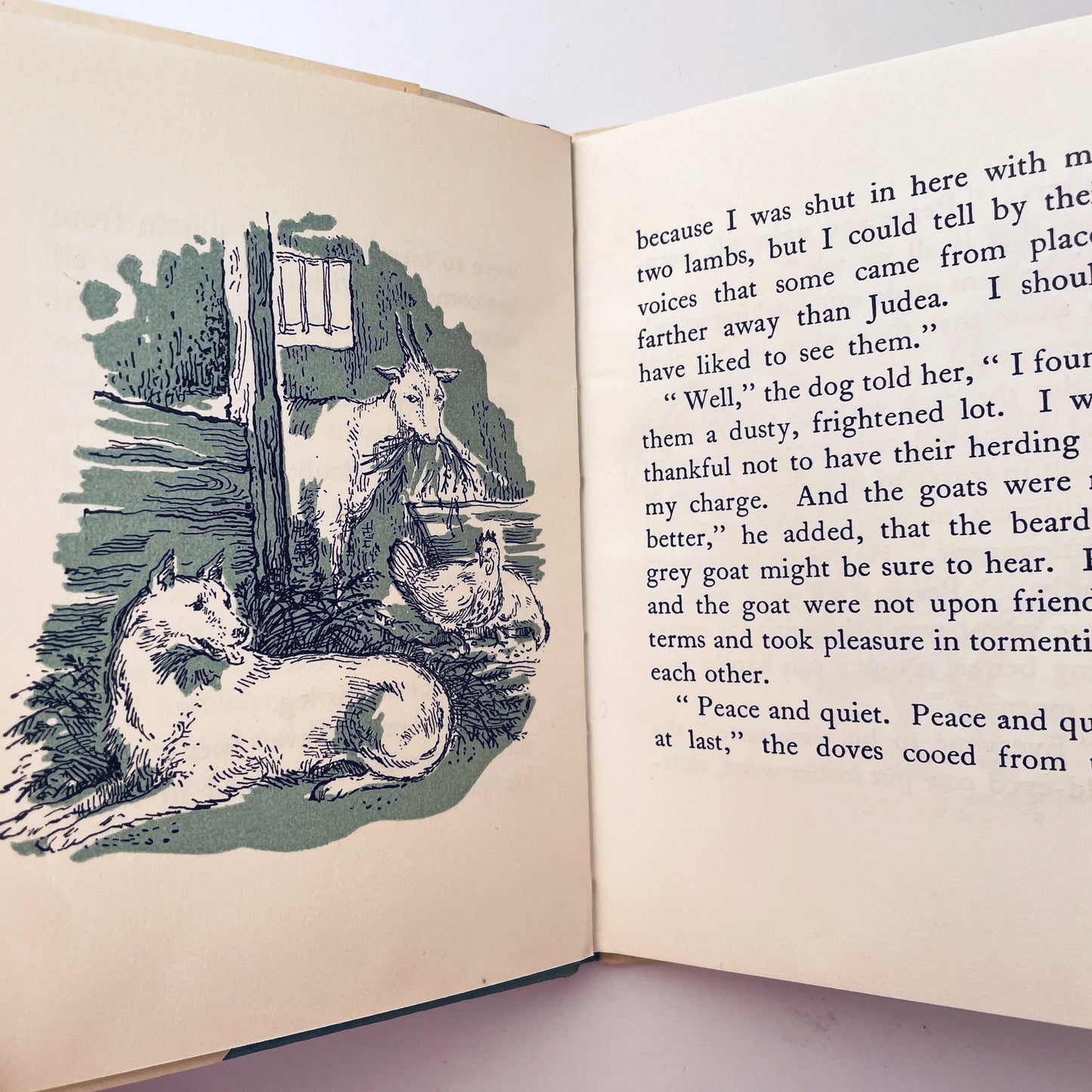 All Through the Night (Mini book)