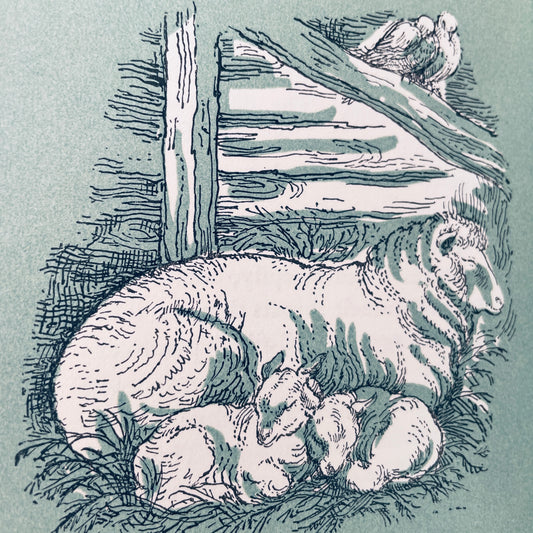 All Through the Night (Mini book)