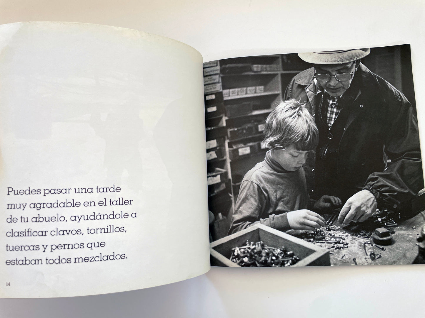 Ser útil (Helping Out–Spanish)