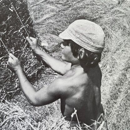 Ser útil (Helping Out–Spanish)