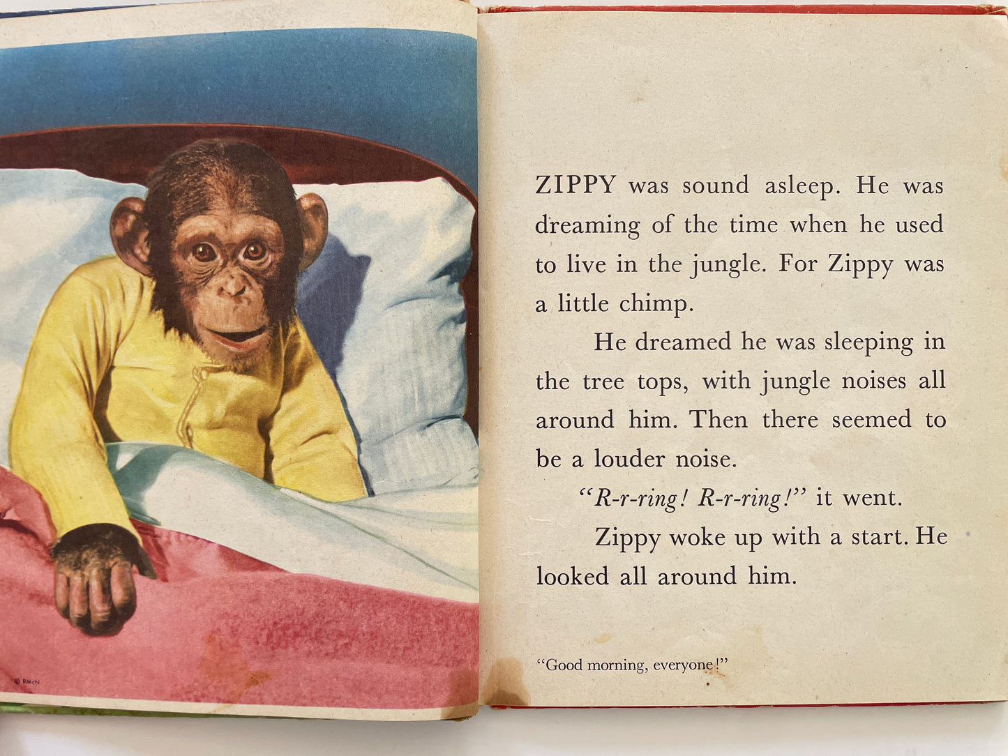 Zippy the Chimp, 1953