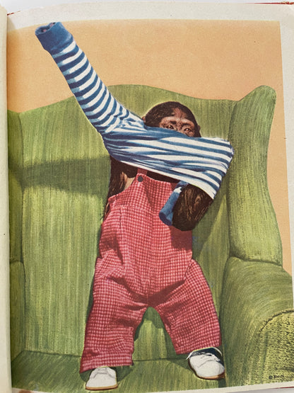 Zippy the Chimp, 1953
