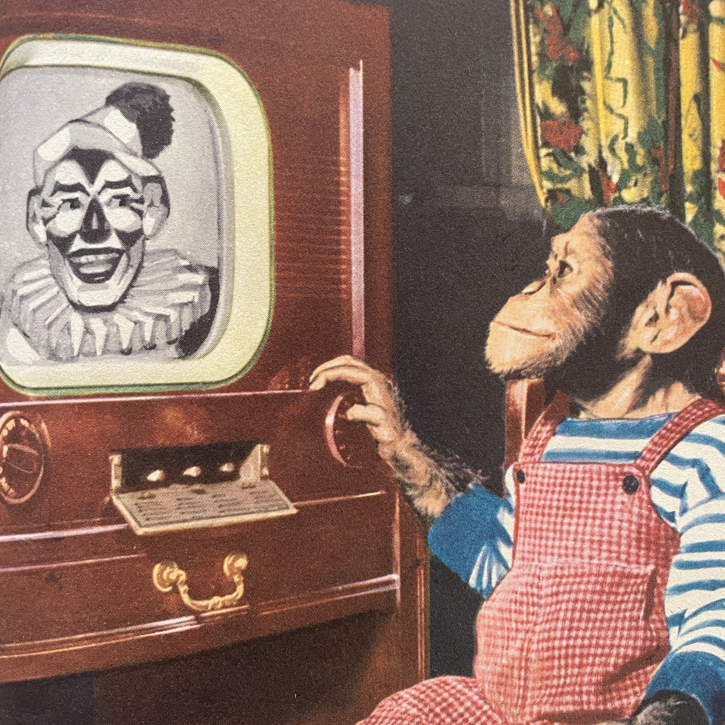 Zippy the Chimp, 1953